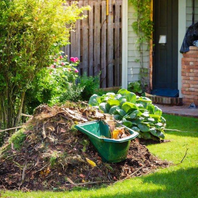 Compost