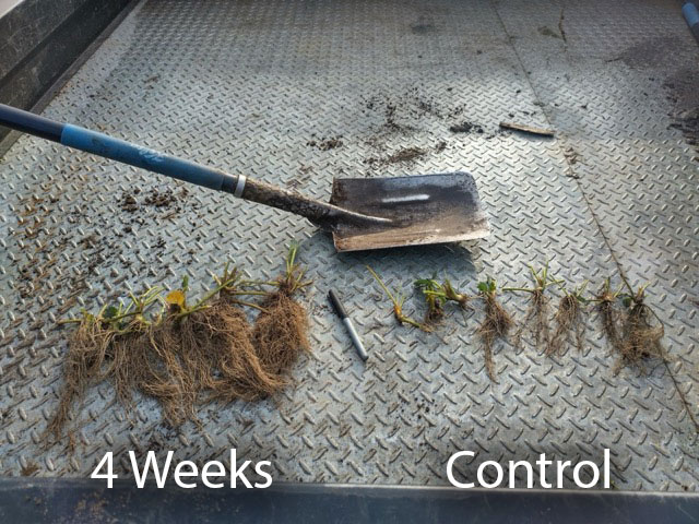 Field Application