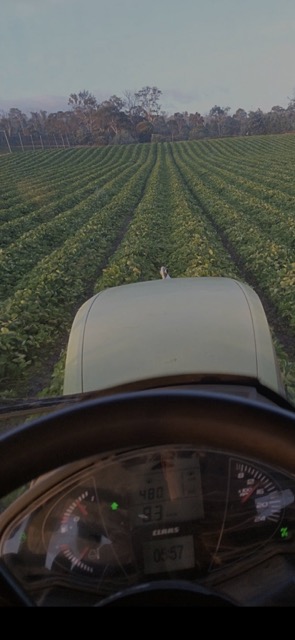 Crop Inspection