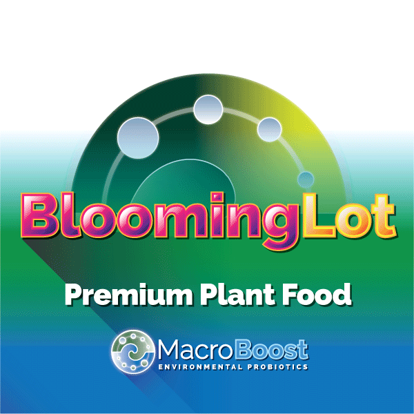 Blooming Lot