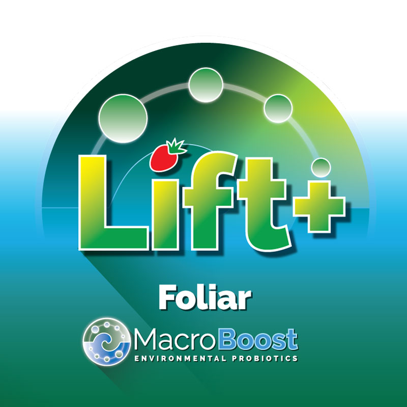 Lift+