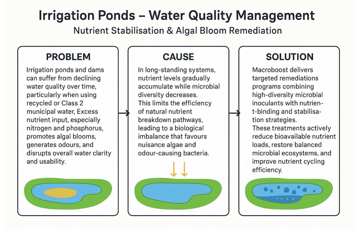 Pond Treatment