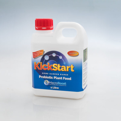 Kickstart Bottle