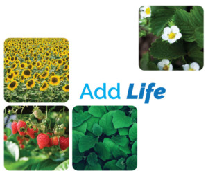 add-life-2019