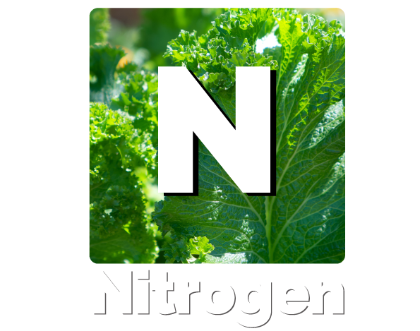 nitrogen